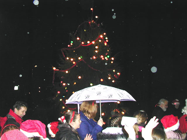 Christmas Tree Lights