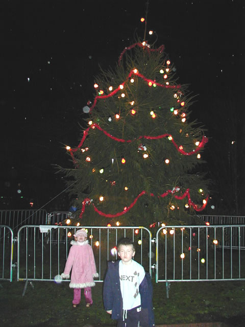 Christmas Tree Lights