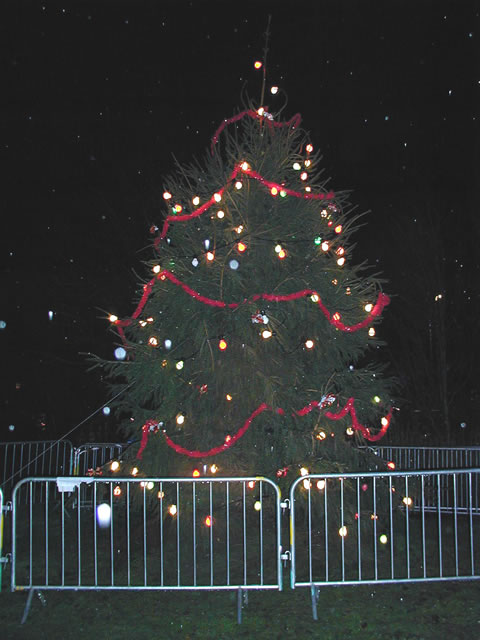 Christmas Tree Lights
