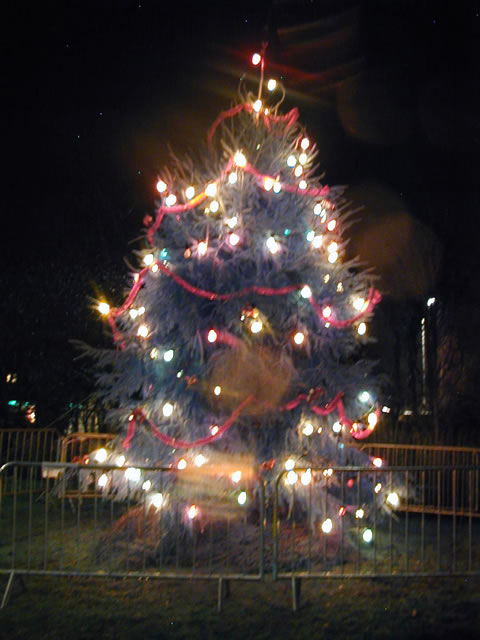 Christmas Tree Lights