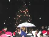 Christmas Tree Lights (51kb)