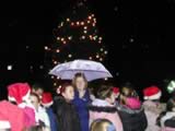 Christmas Tree Lights (57kb)