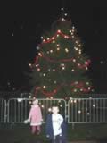 Christmas Tree Lights (57kb)