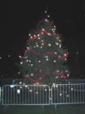 Christmas Tree Lights (60kb)