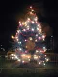 Christmas Tree Lights (57kb)