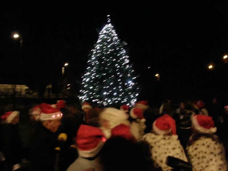 Christmas Lights Switch On 2008