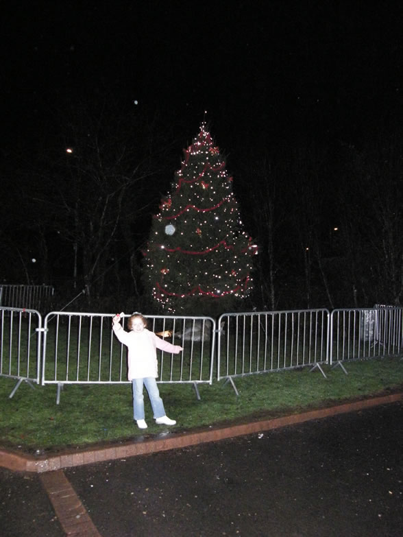 Christmas Lights Switch On 2009