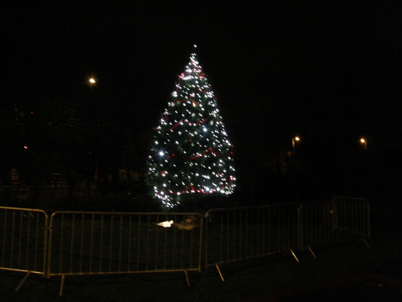 Christmas Lights Switch On 2009
