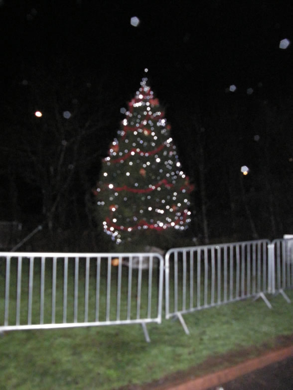 Christmas Lights Switch On 2009