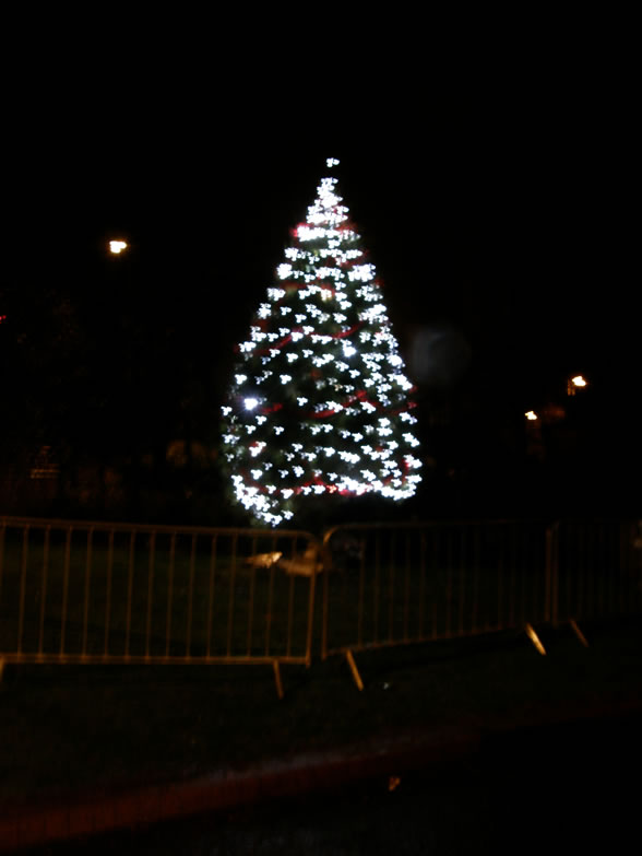 Christmas Lights Switch On 2009