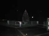 PC044867.jpg (47kb)