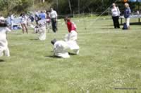 048-302.JPG (314kb)