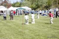 049-306.JPG (281kb)