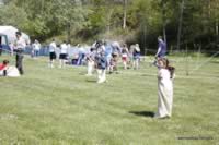 050-313.JPG (325kb)