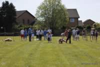 069-431.JPG (241kb)