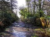 A muddy Cliff Terrace Road
