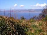 Looking over the River Clyde