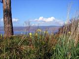 Looking over the River Clyde