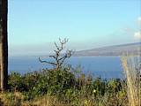 Looking over the River Clyde