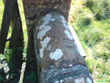 Gaiter Club Memorial Stone