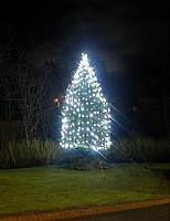 Christmas Lights 2012