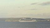 Delphin