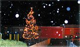 The Wemyss Bay Christmas Tree at the school