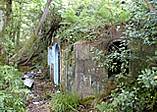 The horses grave