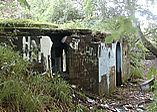 The horses grave