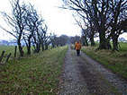 Kelly Mains - FinnochBog Road