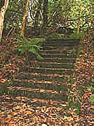 Steps in Terraced Garden