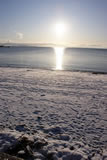 Winter snow
