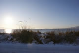 Winter snow